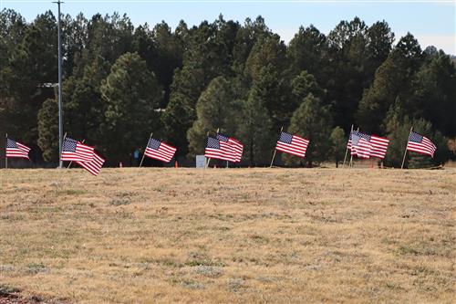  62 flags honor veterans at EMS after an NJHS fundraiser for DAV